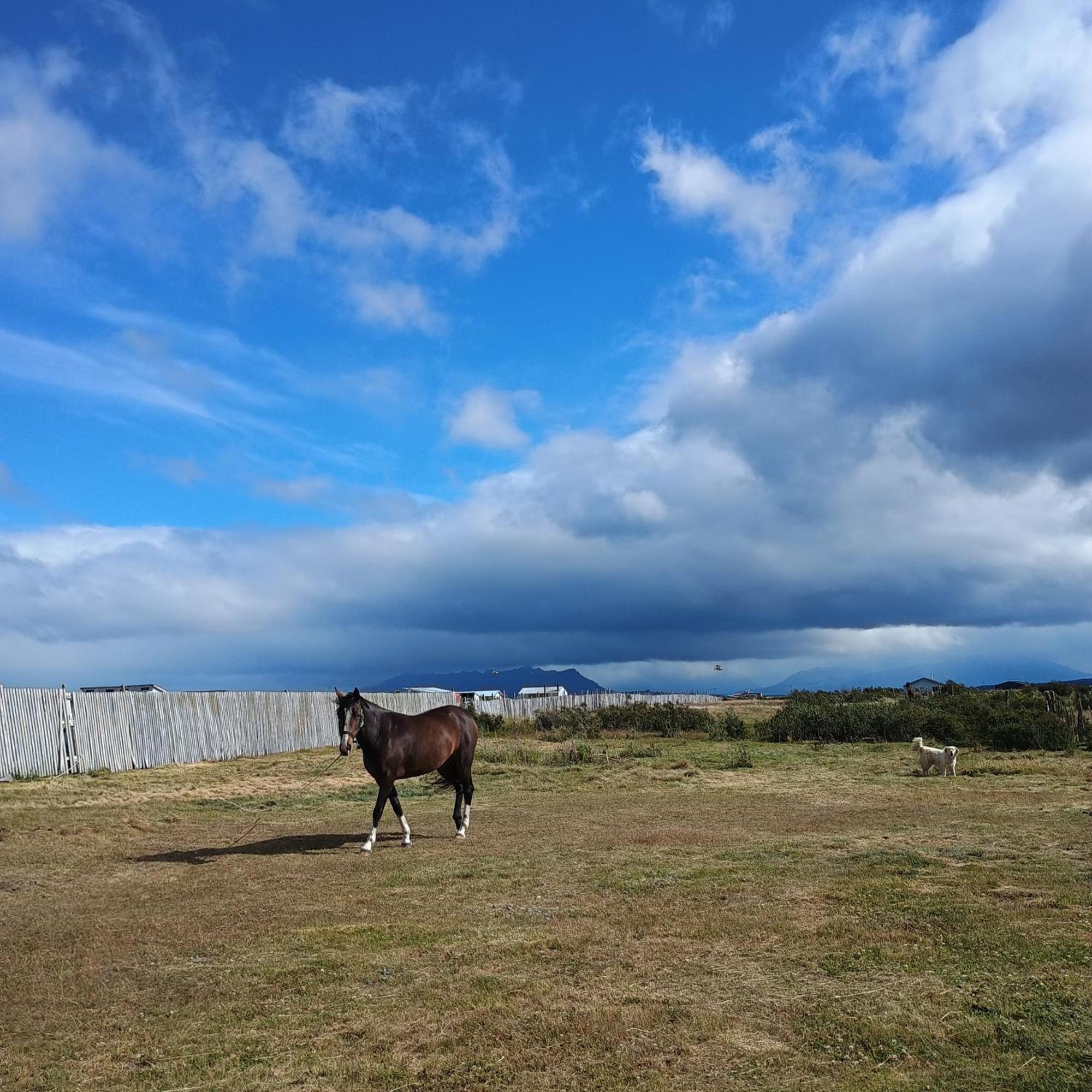 Appartamento Tyni House Puerto Natales Esterno foto