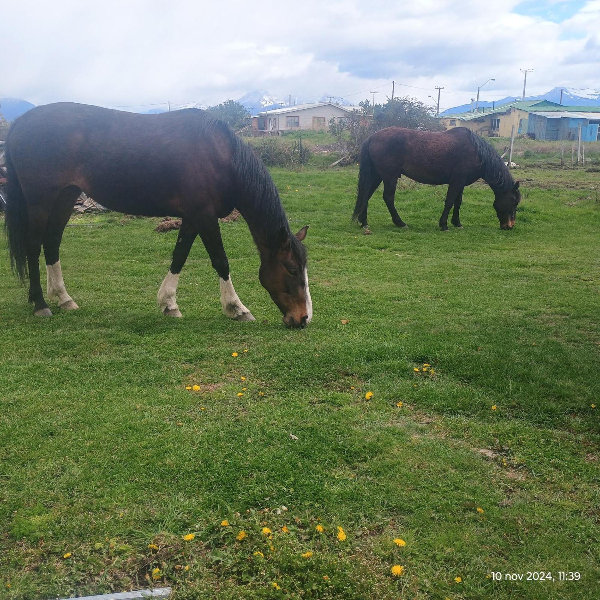 Appartamento Tyni House Puerto Natales Esterno foto
